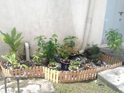 Taman Herba 1